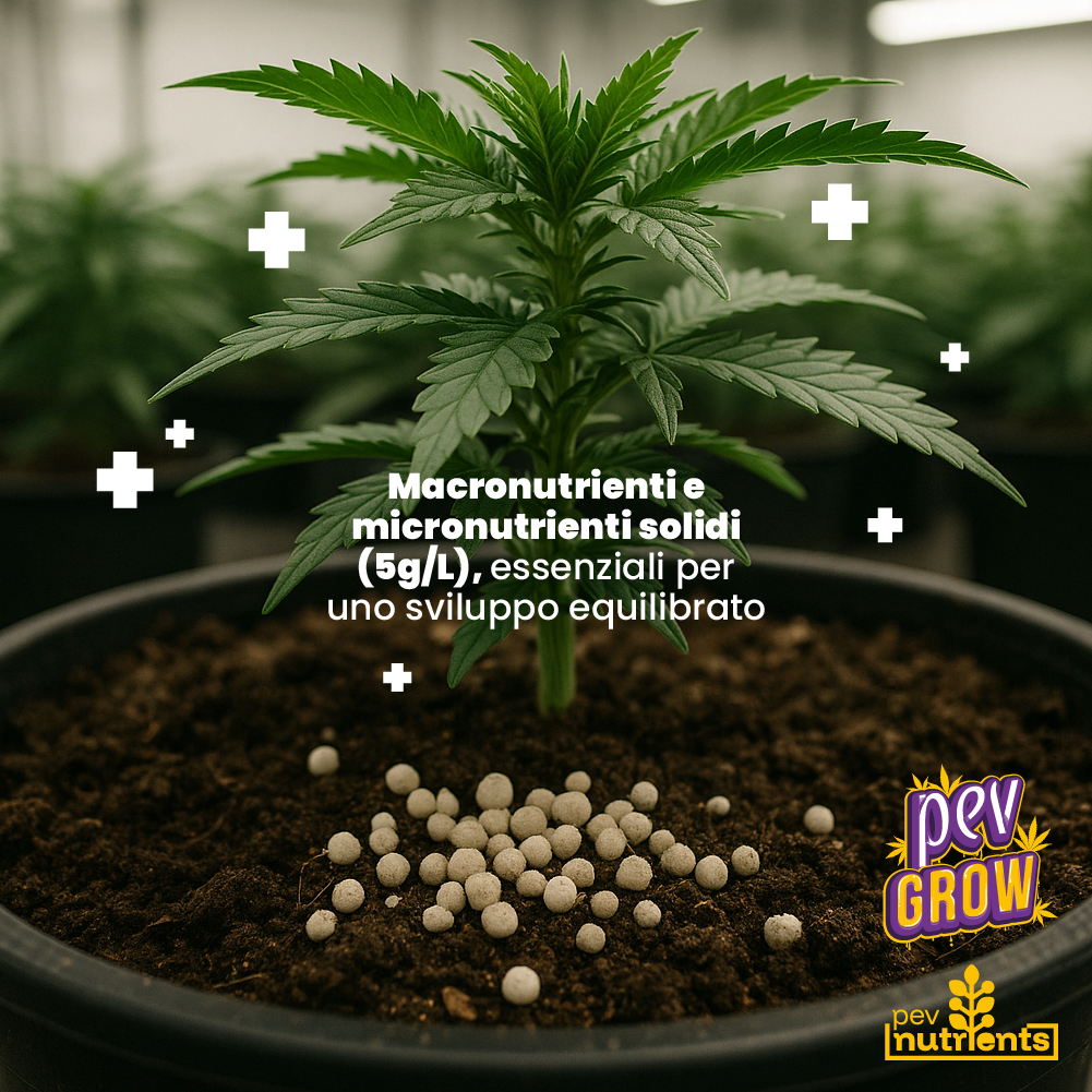 Terra Autoflower Pev Nutrients